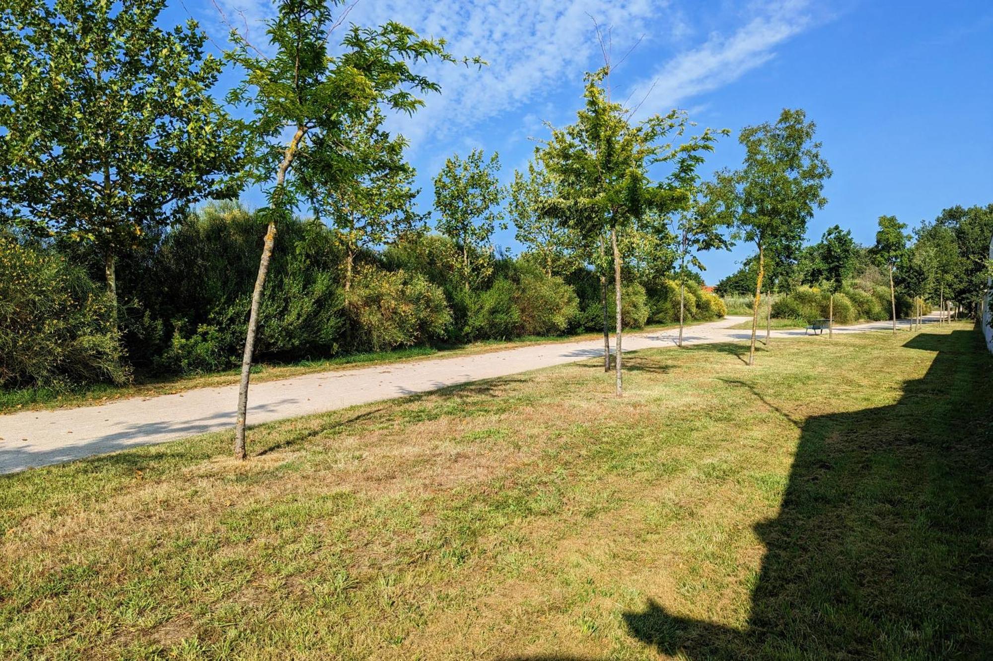Indépendant, Calme, Avec Parking Privé Et Grand Jardin, Proche De Toulouse Appartamento Villeneuve-Tolosane