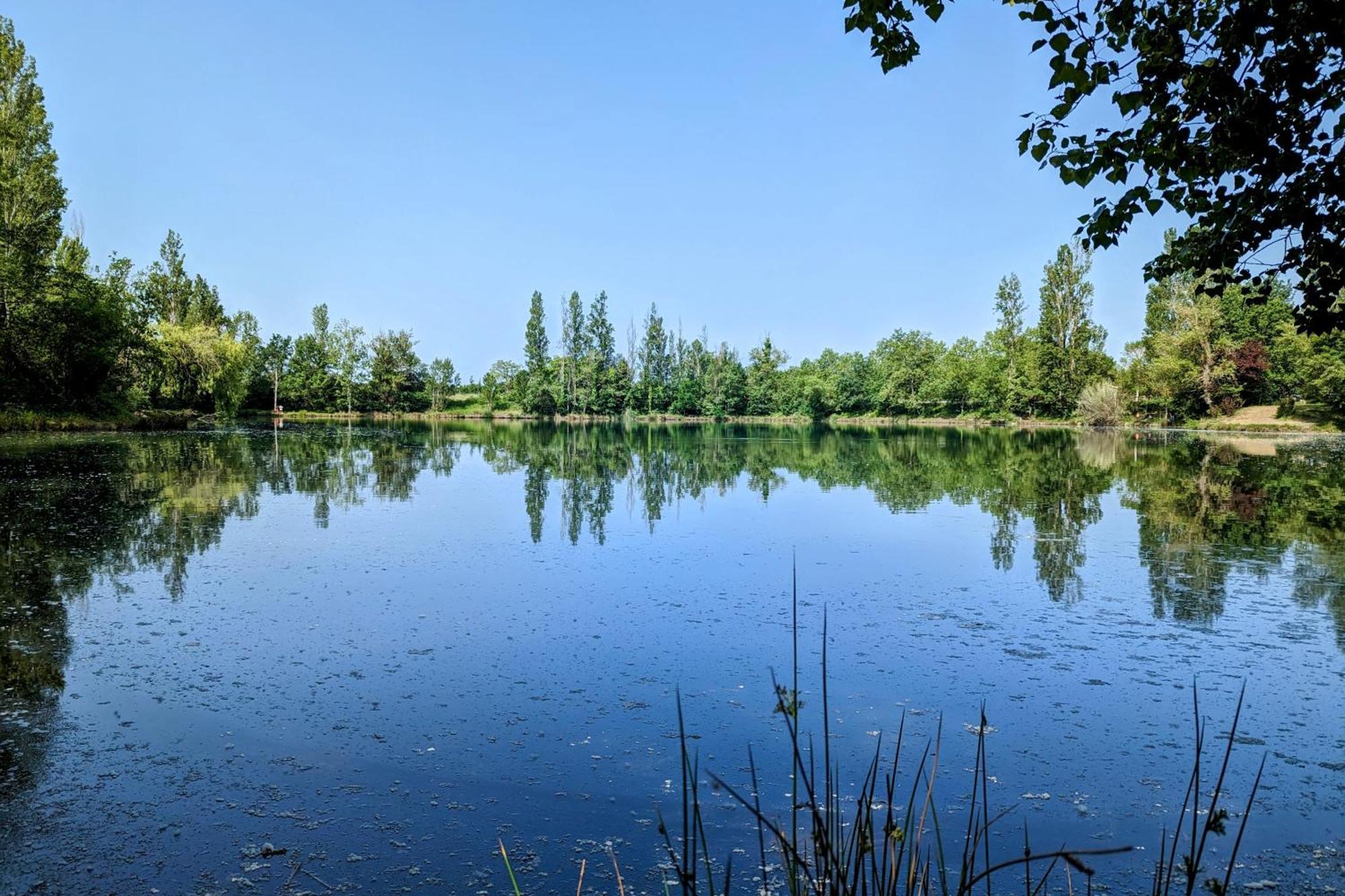 Appartamento Indépendant, Calme, Avec Parking Privé Et Grand Jardin, Proche De Toulouse *